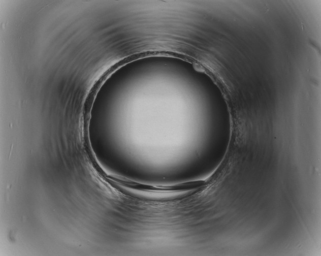 X0000103251076200808281458