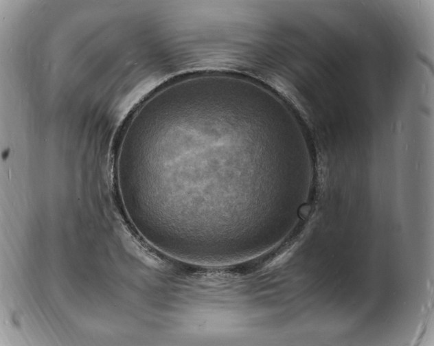 X0000103251077200808281458