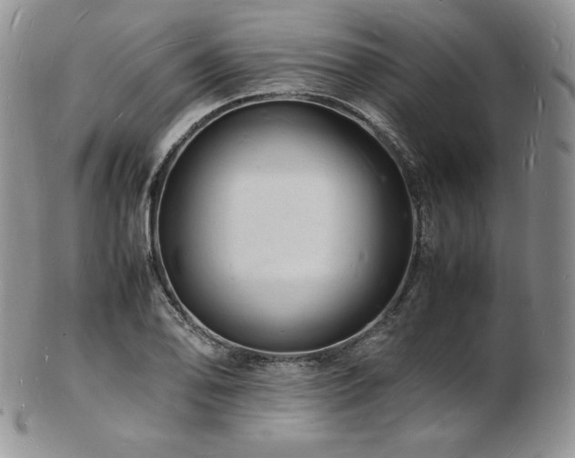X0000103251078200808281458
