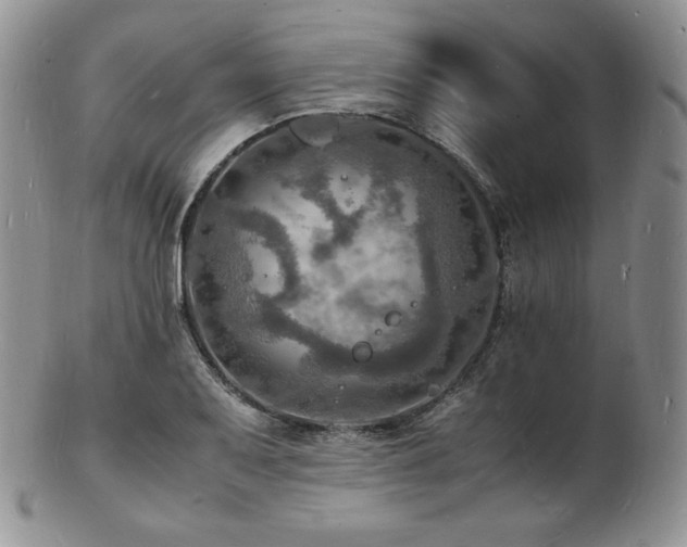 X0000103251079200808281458