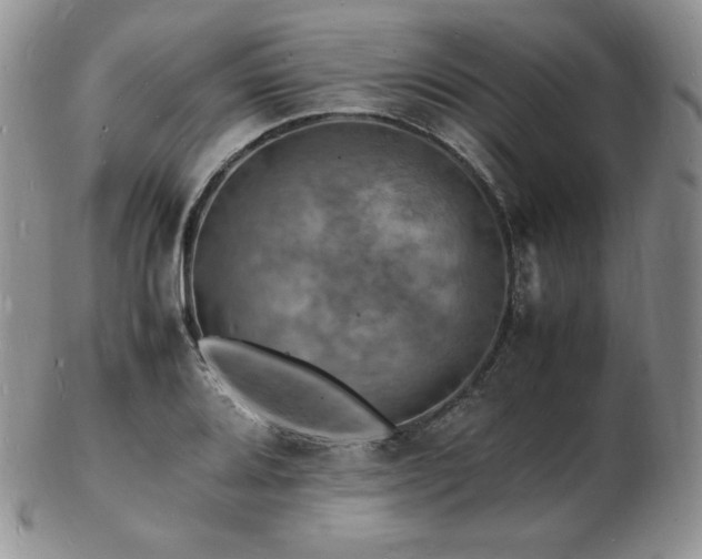 X0000103251080200808281458