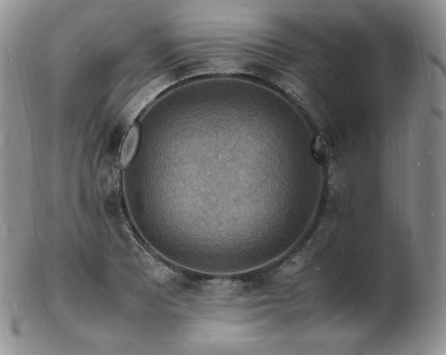 X0000103251081200808281458