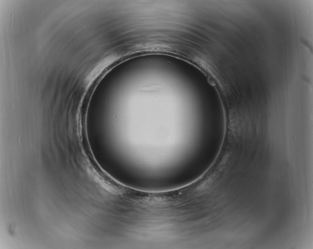 X0000103251082200808281458