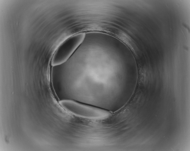 X0000103251084200808281458