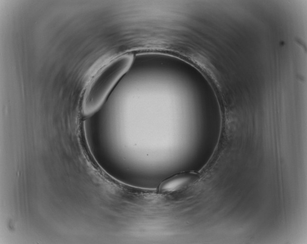 X0000103251085200808281458