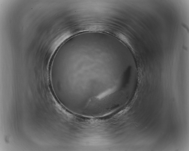 X0000103251087200808281458