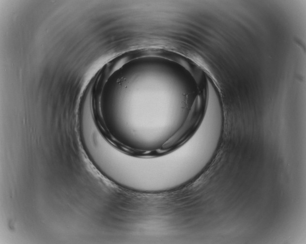 X0000103251088200808281458