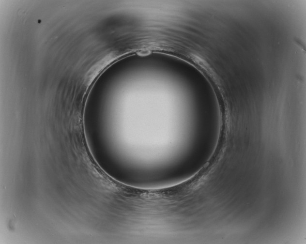 X0000103251089200808281458