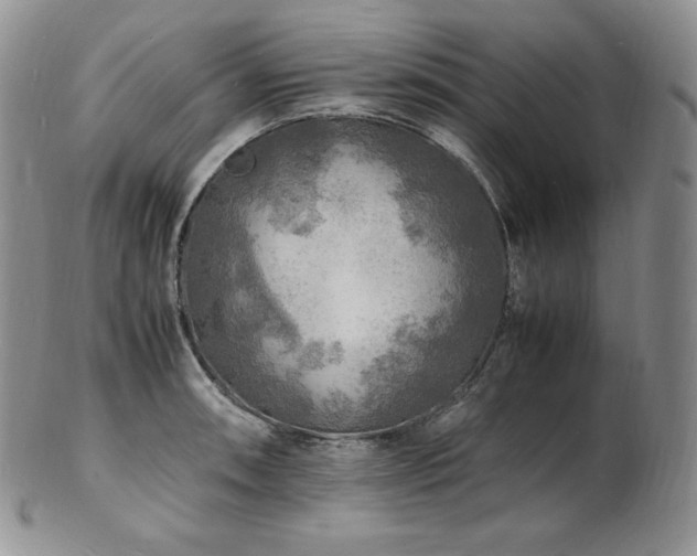 X0000103251090200808281458