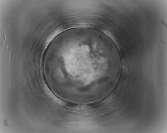 X0000103251091200808281458