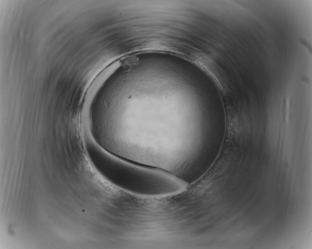 X0000103251092200808281458