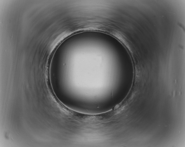 X0000103251093200808281458