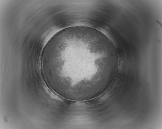 X0000103251094200808281458