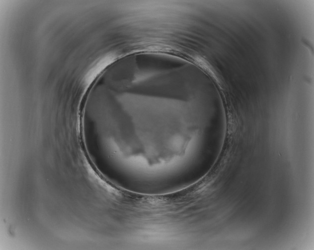 X0000103251095200808281458