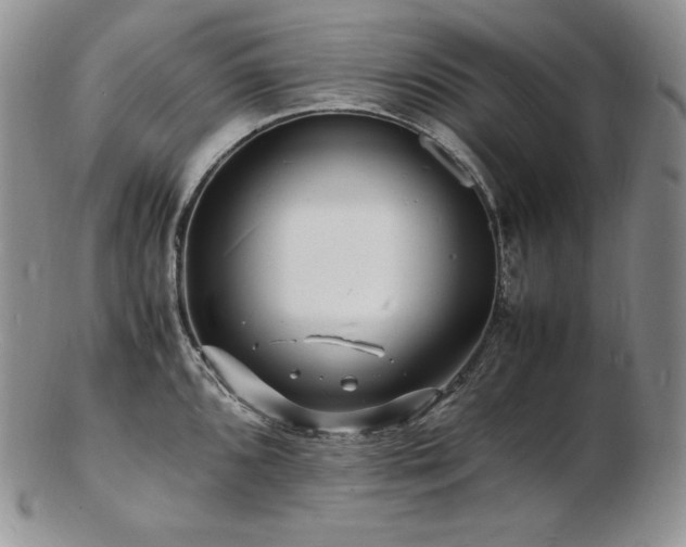 X0000103251096200808281458