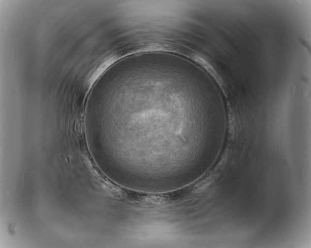 X0000103251097200808281458