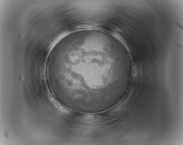 X0000103251098200808281458