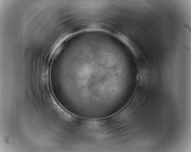 X0000103251100200808281458