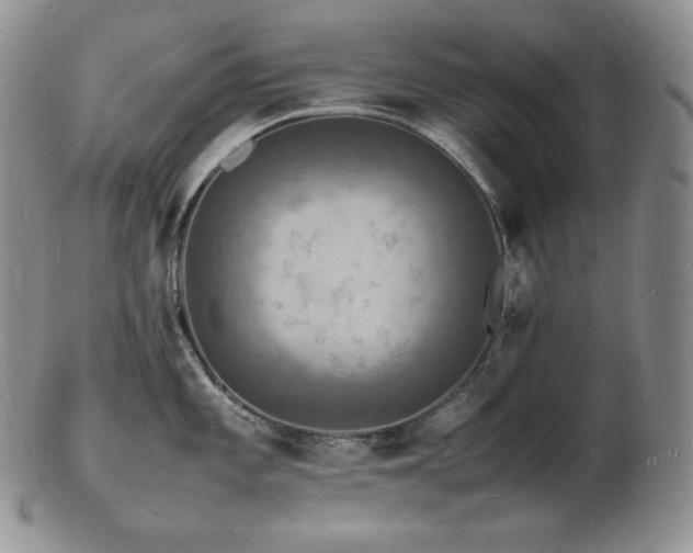 X0000103251101200808281458