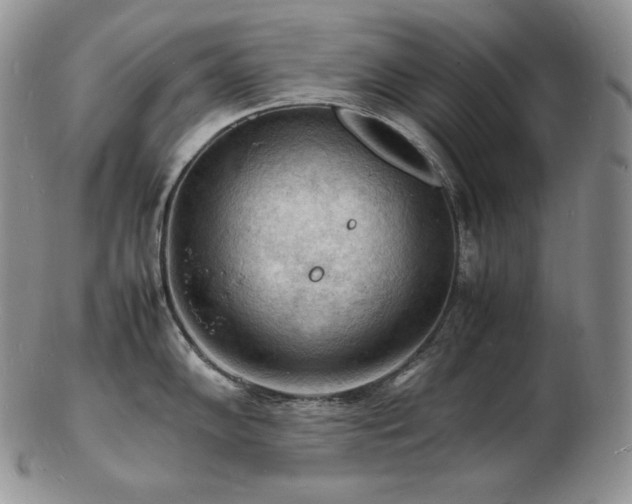 X0000103251102200808281458