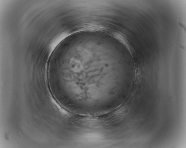 X0000103251103200808281458
