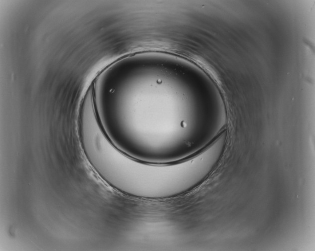 X0000103251104200808281458