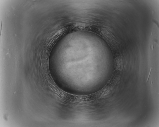 X0000103251105200808281457
