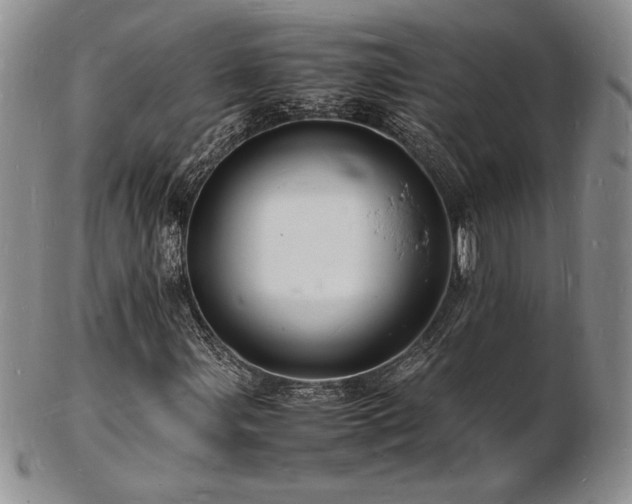 X0000103251107200808281457