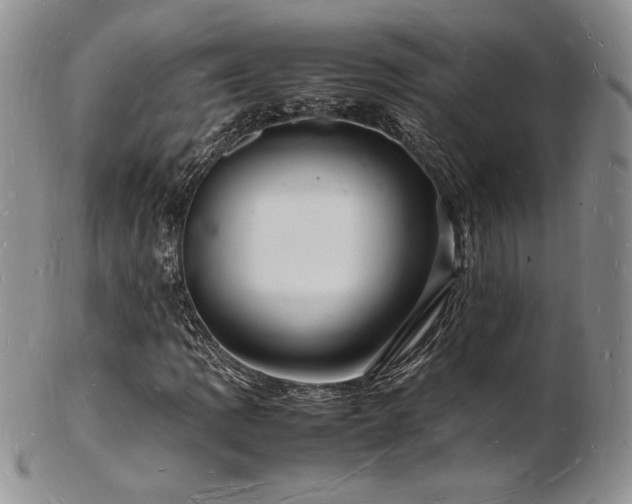 X0000103251109200808281457