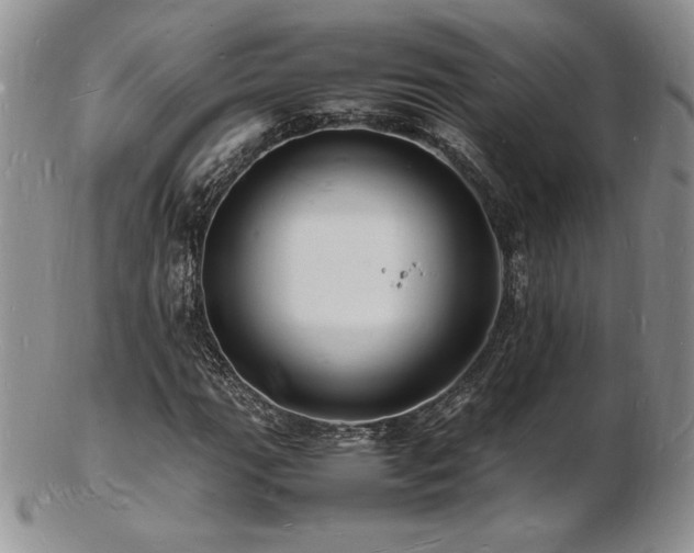 X0000103251111200808281457