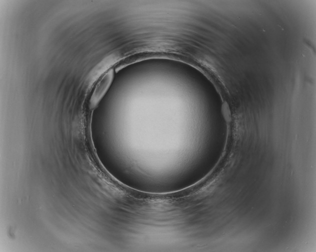 X0000103251114200808281457