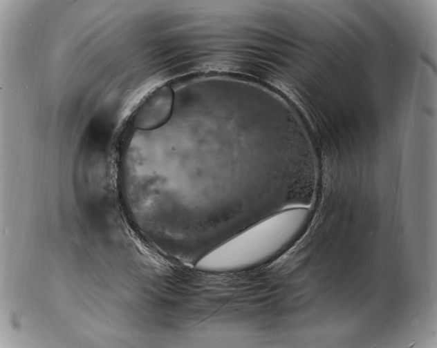 X0000103251115200808281457