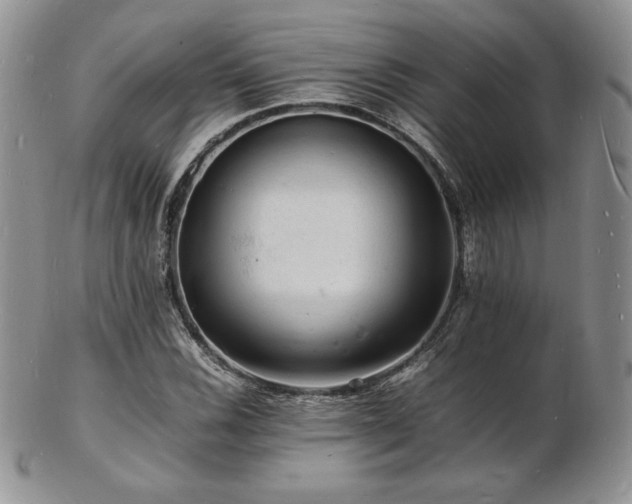 X0000103251116200808281457