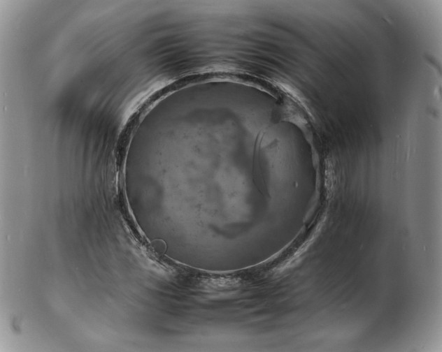 X0000103251117200808281457