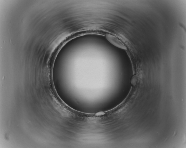X0000103251118200808281457