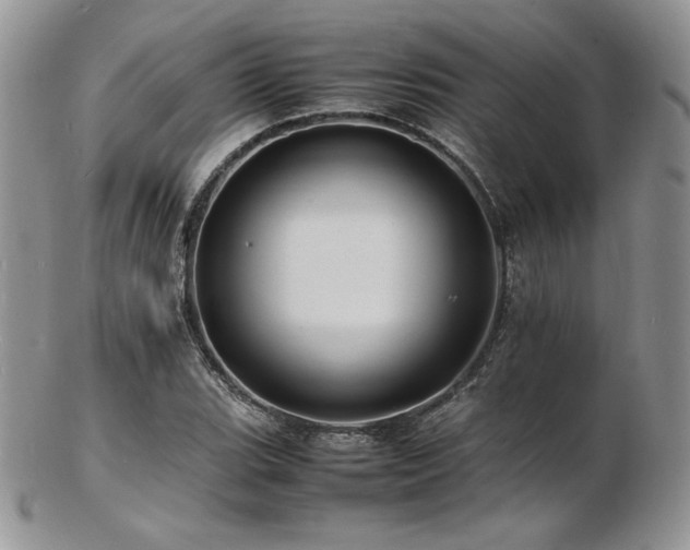 X0000103251119200808281457