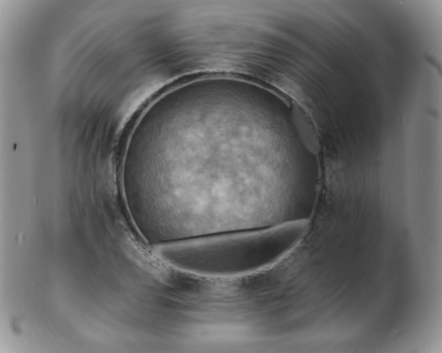 X0000103251120200808281457