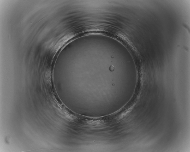 X0000103251121200808281457