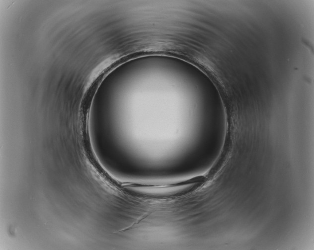 X0000103251122200808281457