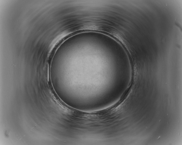 X0000103251123200808281457