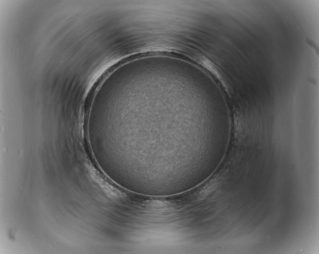 X0000103251124200808281457