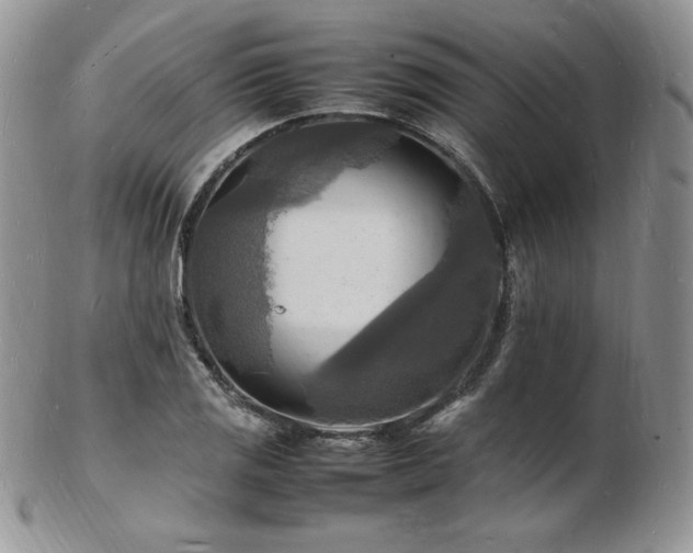 X0000103251125200808281457