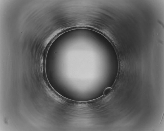 X0000103251126200808281457