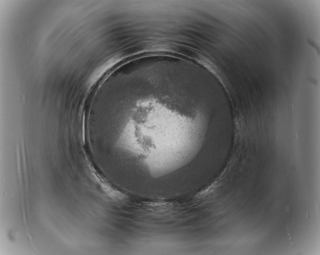 X0000103251127200808281457