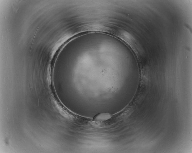 X0000103251128200808281457