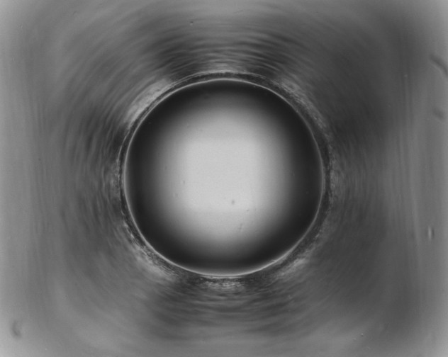 X0000103251129200808281457