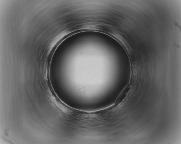 X0000103251131200808281458