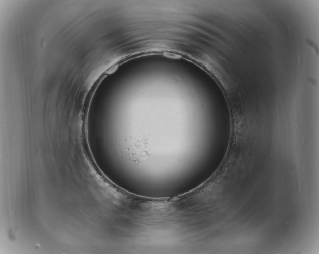 X0000103251134200808281458