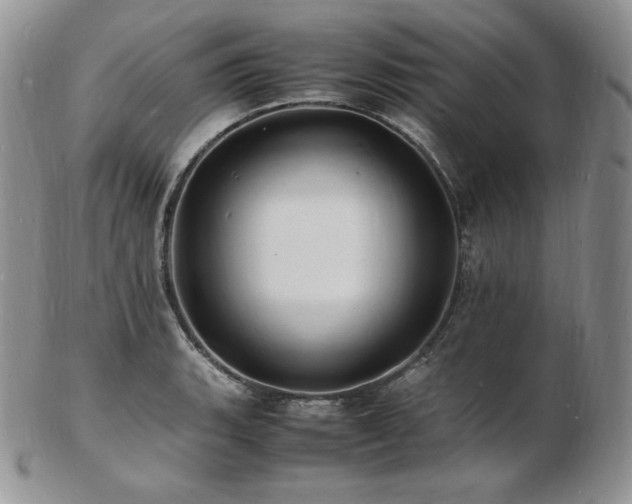 X0000103251135200808281458