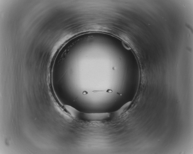 X0000103251136200808281458